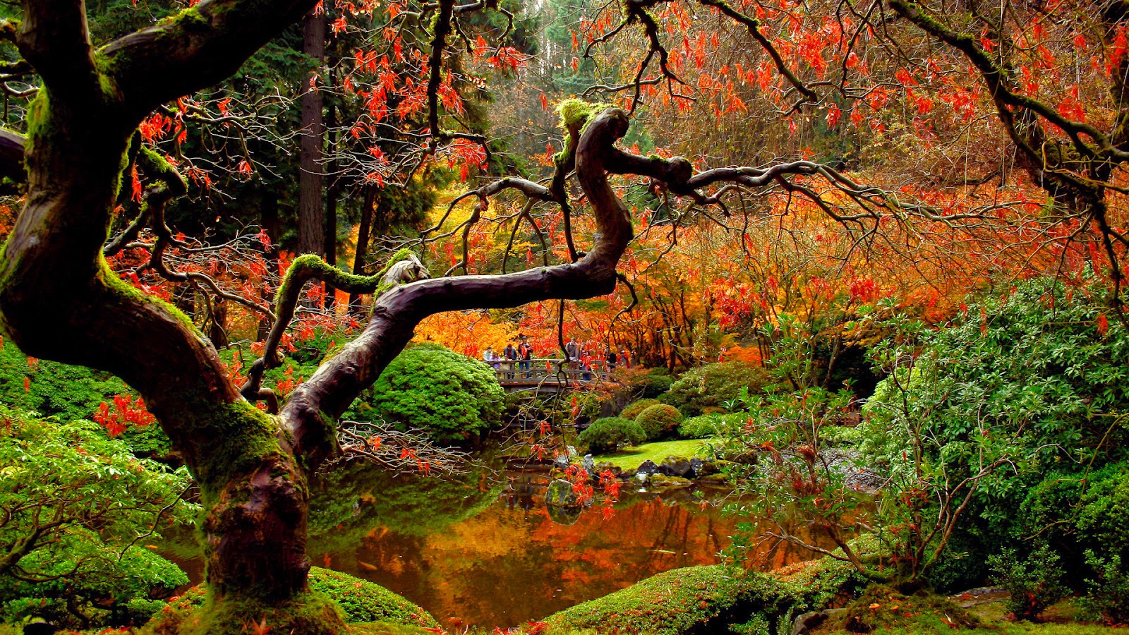 DISEÑO / Jardín Japonés