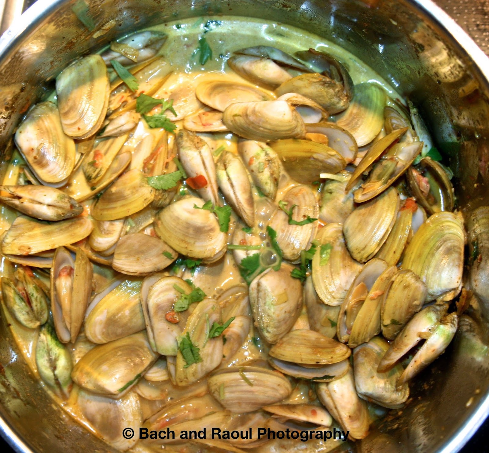 Clam Curry Recipe Taste Chronicles