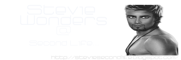 Stevie Wonders @ Second Life