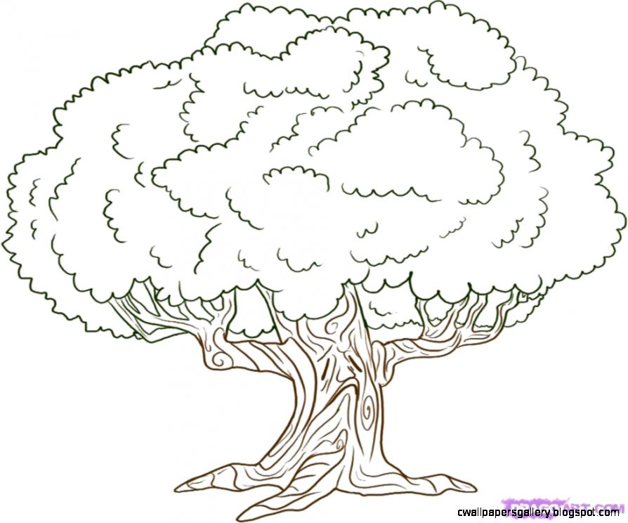 Simple Tree Drawings