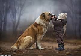Animales tiernos 2015 - 2016 Animales tiernos 2015 - 2016