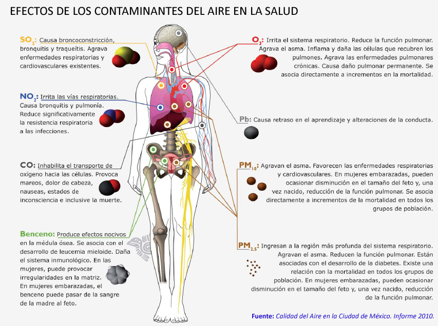 EL PROBLEMA DE LAS ONG el problema de las ong: