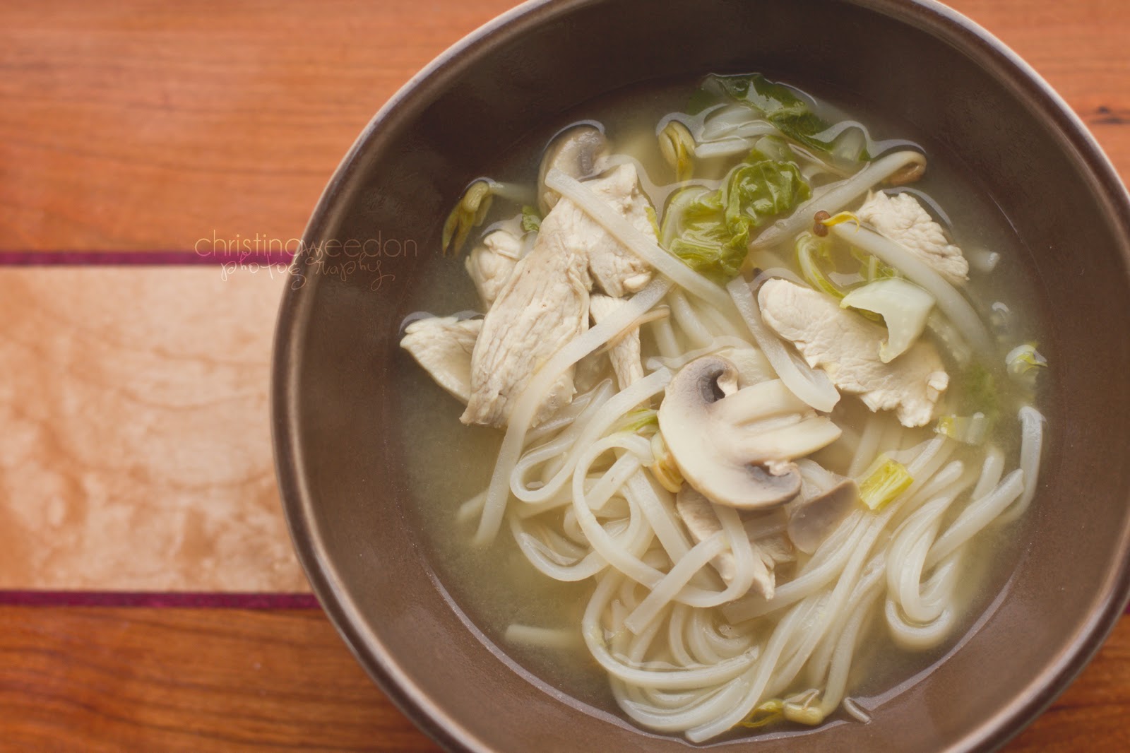 Dandelions on the Wall Chinese Chicken Noodle Soup {Gluten, Dairy, and Soy Free}