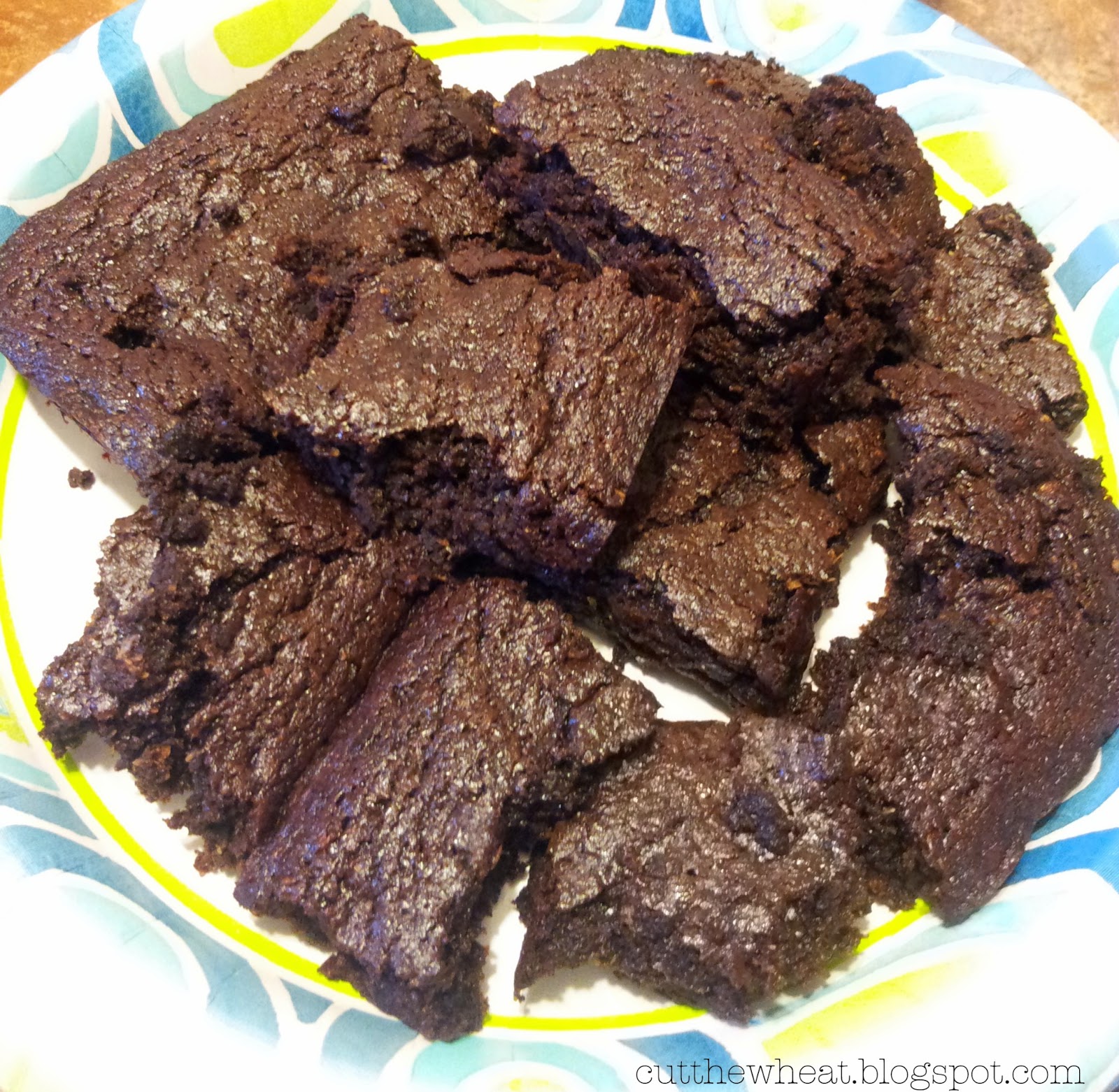 Sugar, Wheat and Gluten Free Low Carb (high fiber) Fudge Brownies Cut