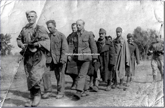 German POW  Caucasus. 1943