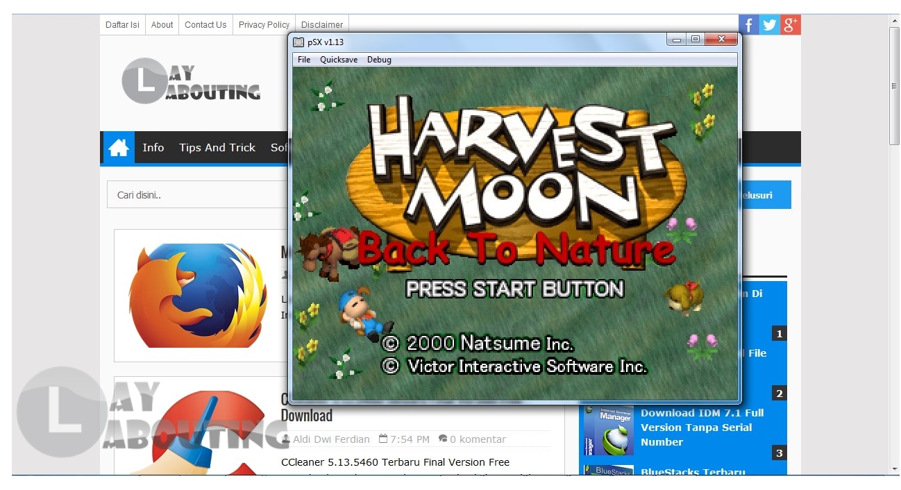 Harvest Moon Back To Nature Versi Indonesia Gratis Untuk Laptop.zip