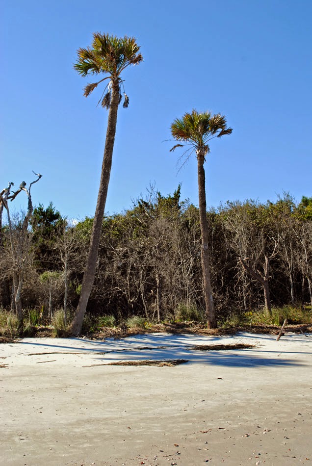 4 course new year's eve dinner in covent garden Found on Brighton: Monday Meandering 12.1.14