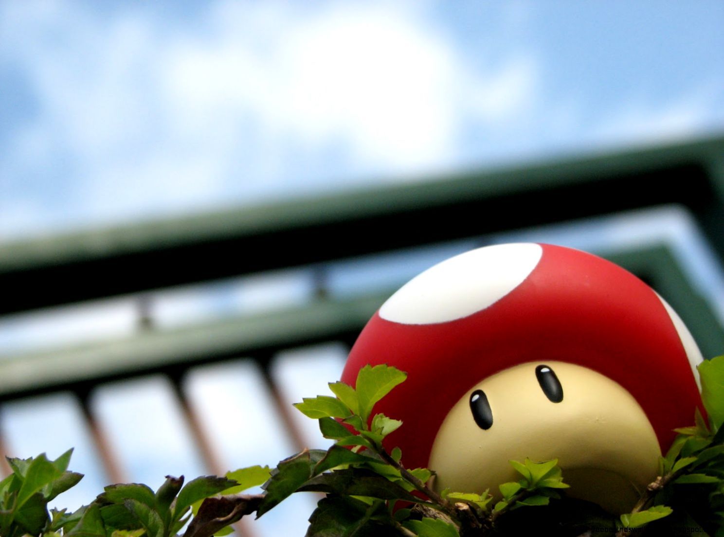 Cool Mario Backgrounds Mushroom Cool Mario Backgrounds Mushroom