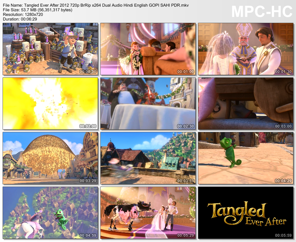 Tangled Ever After 2012 Hindi Dubbed Movie Downloaddcinst