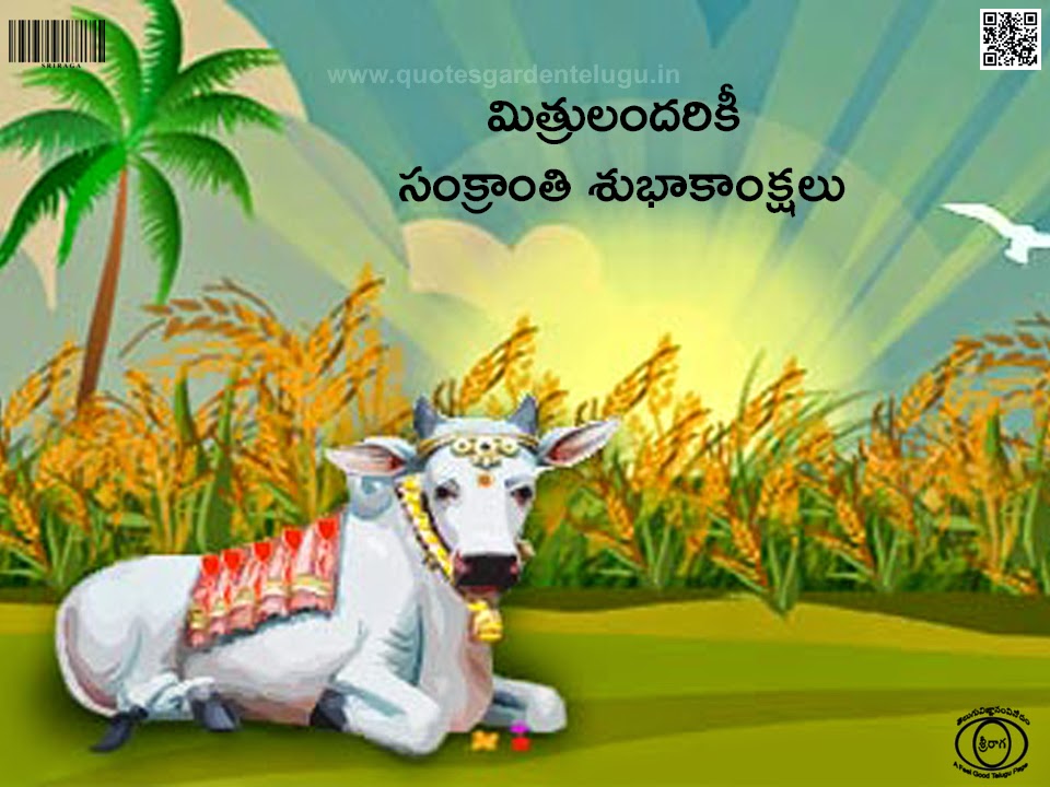 Who celebrate pateti festival picture