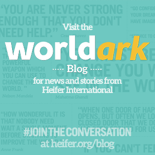 Heifer International Blog