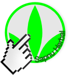 Obat Luka Diabetes Tradisional