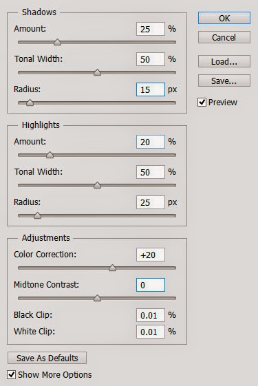 Langkah 3 Tutorial Photoshop Edit Shadows dan Highlight Foto Langkah 3 Tutorial Photoshop Edit Shadows dan Highlight Foto