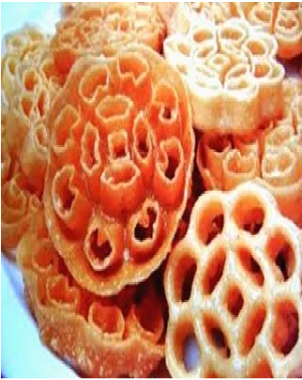 Pembekal Kuih Muih Tradisional: SENARAI KUIH MUIH