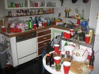 Una pequeña muestra de la cocina y de la basura de la fiesta.