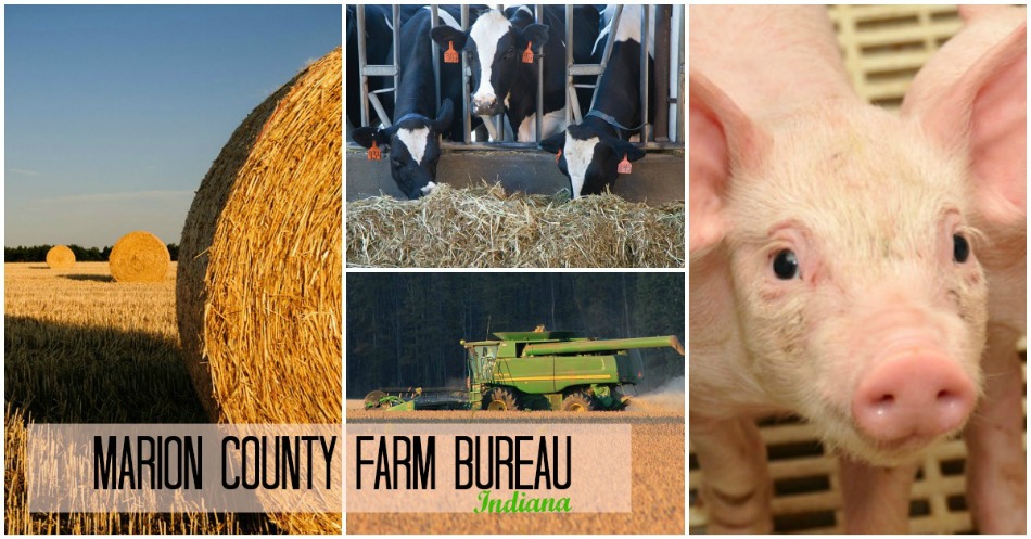 Marion County Farm Bureau