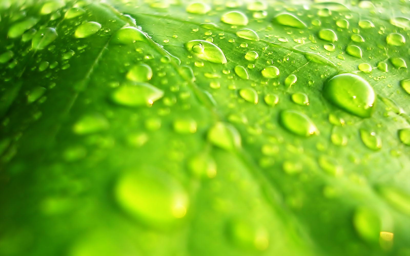 water drops backgrounds