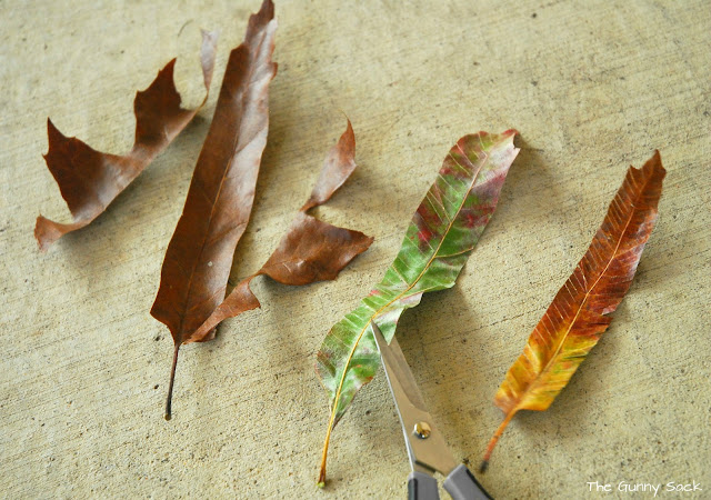 Autumn Leaf Feathers Fall Craft