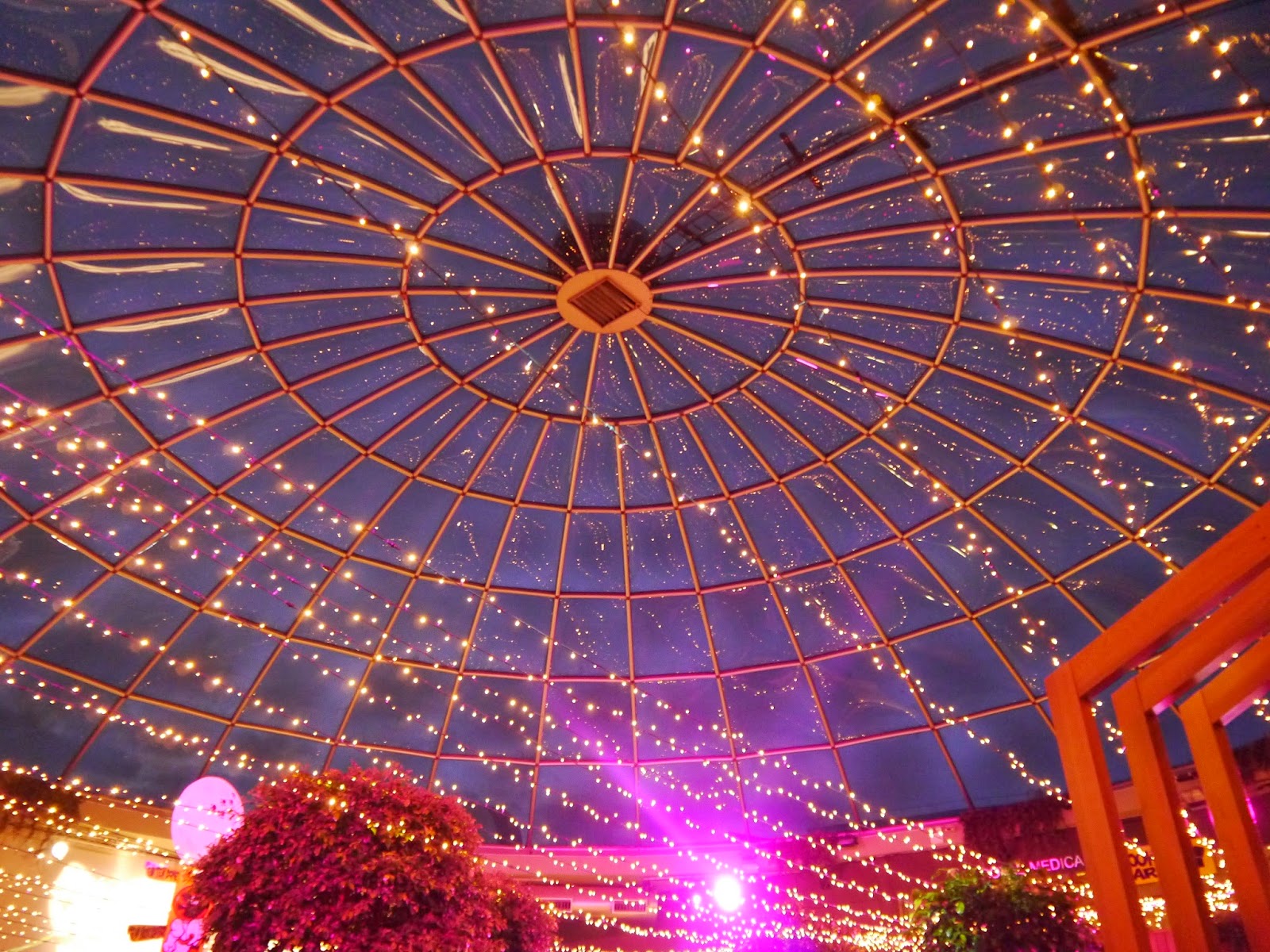 Plesance Dome at Edinburgh Fringe Festival