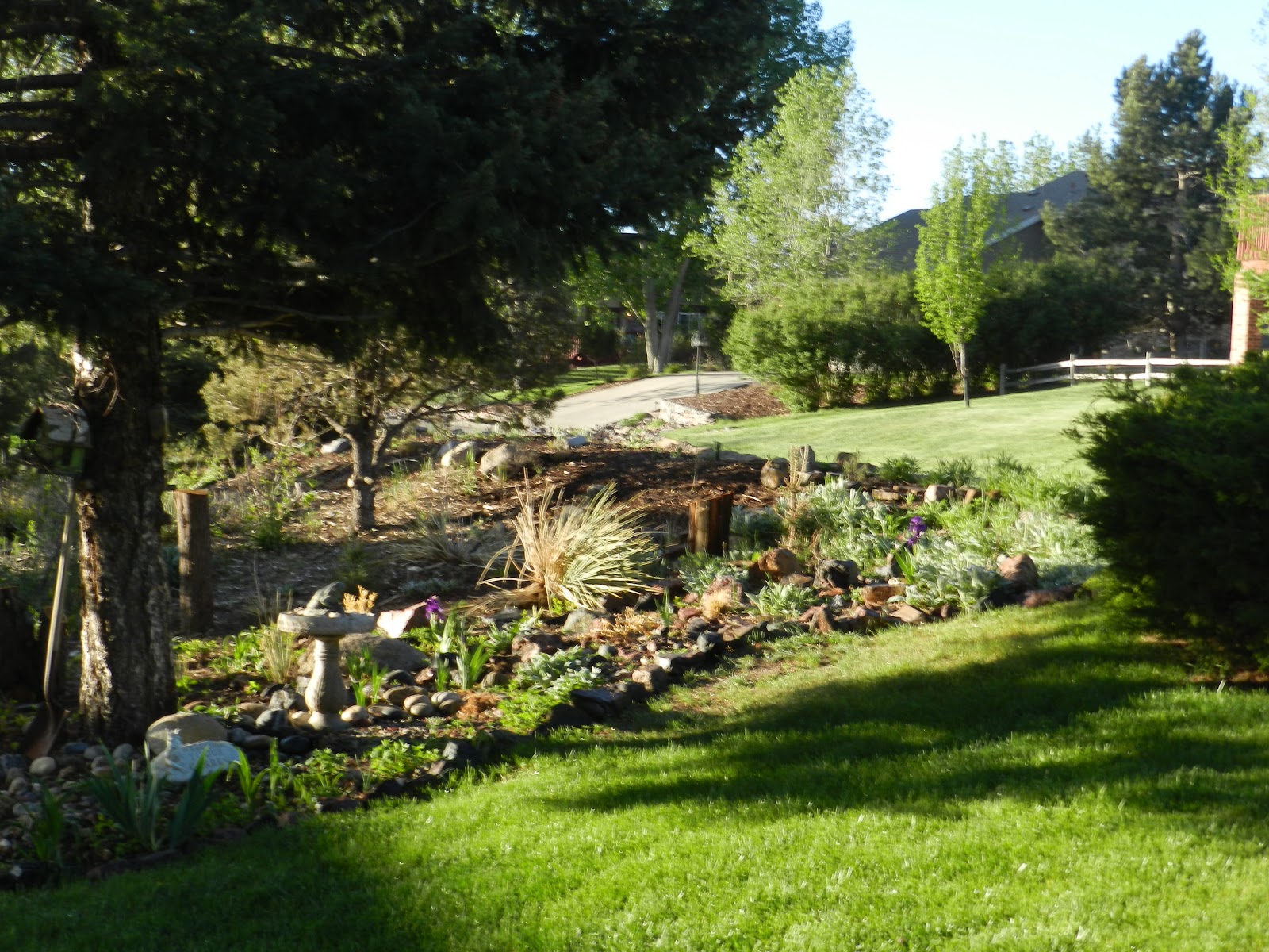 My Wishing Rock: Gardening in open prairie land.......