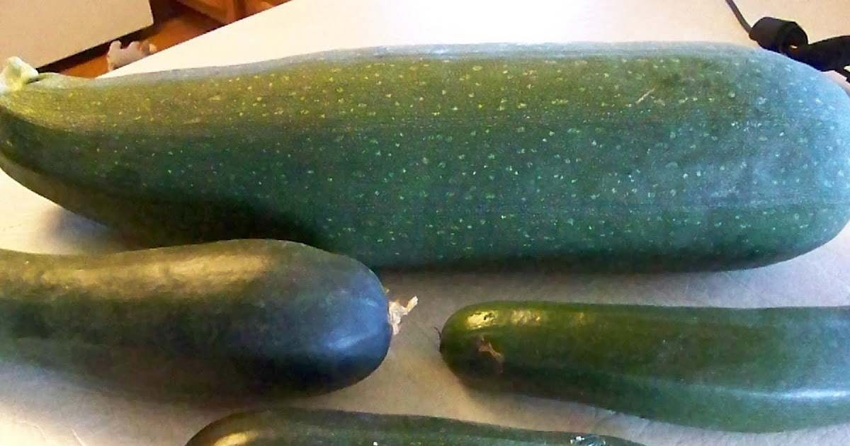 Easy Frugal Living Zucchini CandyIn honor of National Sneak Zucchini