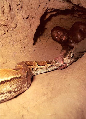 Shocking Pictures of an African Catching Python for a Living Seen On www.coolpicturegallery.us