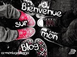 Bienvenue sur mon blog