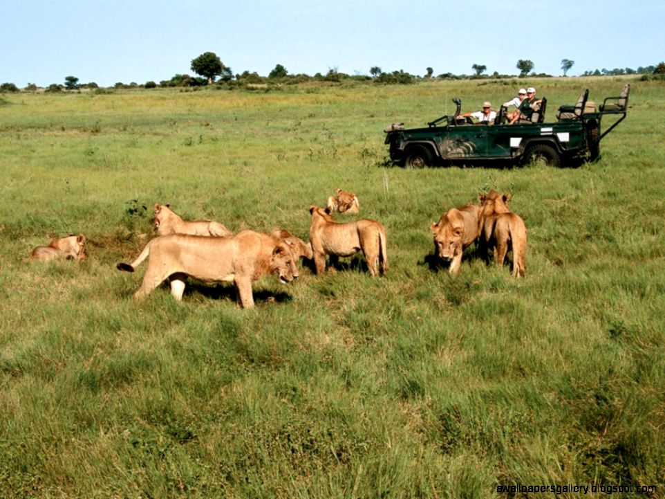 Botswana Safaris Botswana Fly in Safaris Botswana Safari Packages Botswana Safaris Botswana Fly in Safaris Botswana Safari Packages