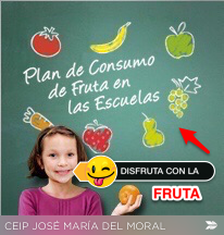 ENCUESTA PLAN DE FRUTA