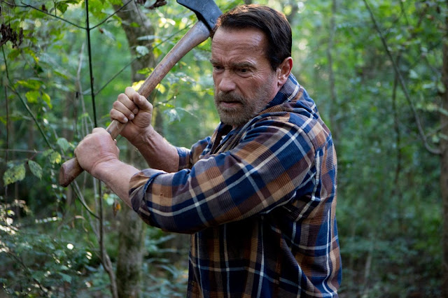 Yes, we get to see Arnold killing like 3 zombies. Maggie still Arnold Schwarzenegger