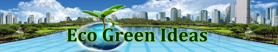 Eco Green Ideas