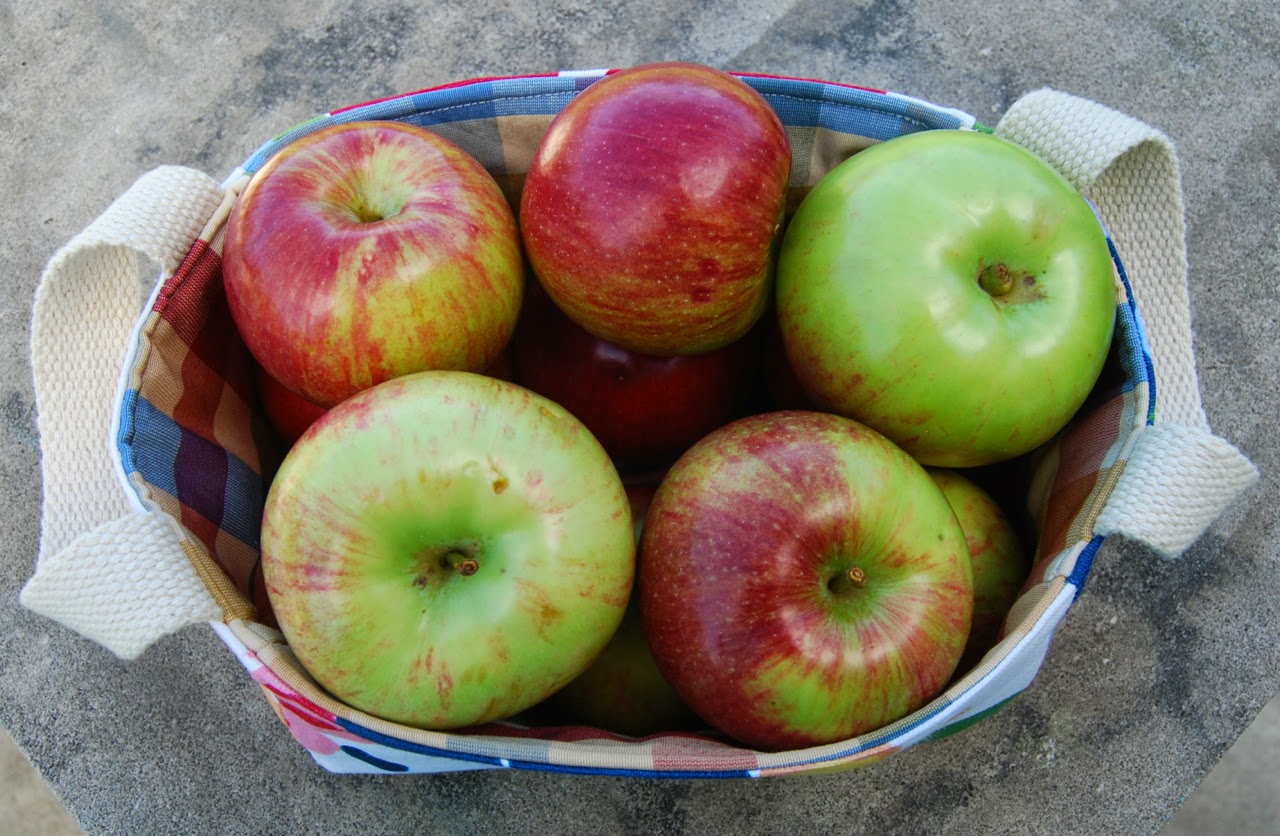 Roonie Ranching Apple basket for September birthdays