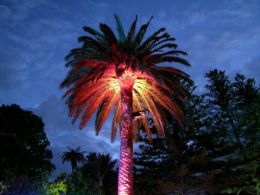 Solar panels for home: Decorative Solar Garden Lights - 3 Tips For