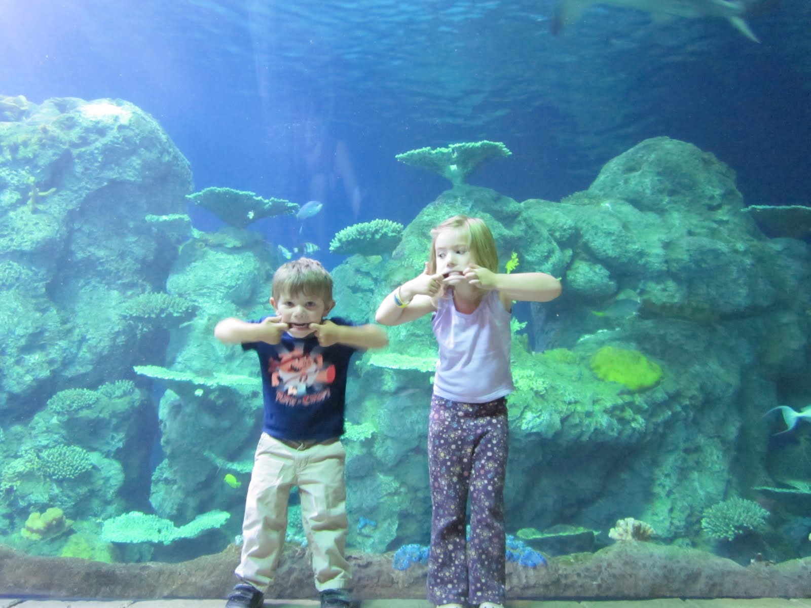 Knitted Symphony Mermaid Mania