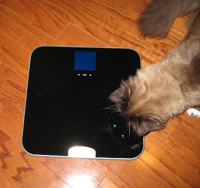 EatSmart, Precision GetFit, Weight, Digital Scale, Body Fat