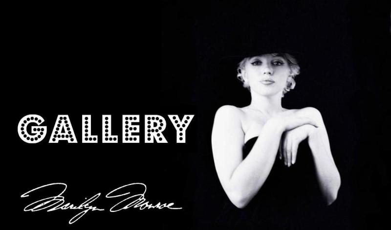 Gallery Marilyn Monroe