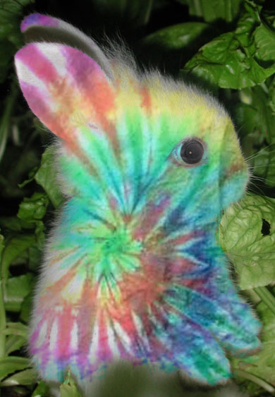 Computer Art Blog: Tie Dye Bunny