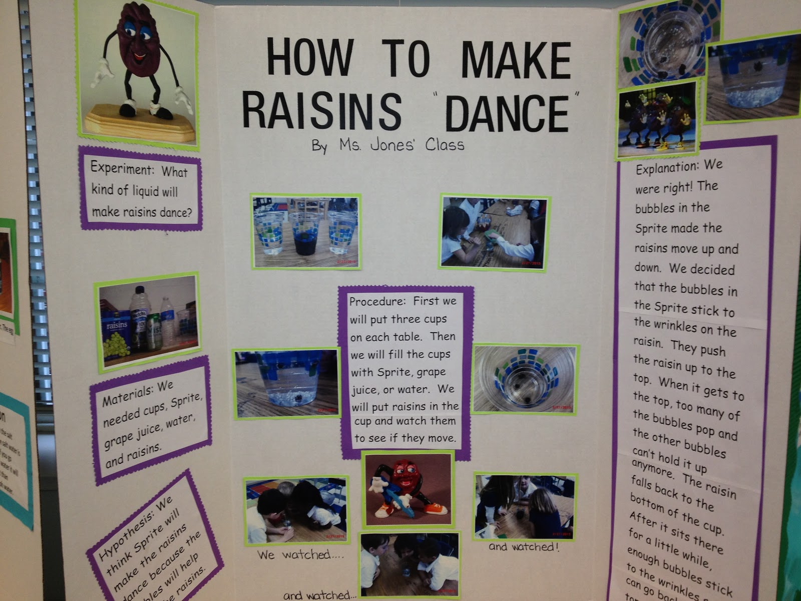 Eastover Science Science Fair
