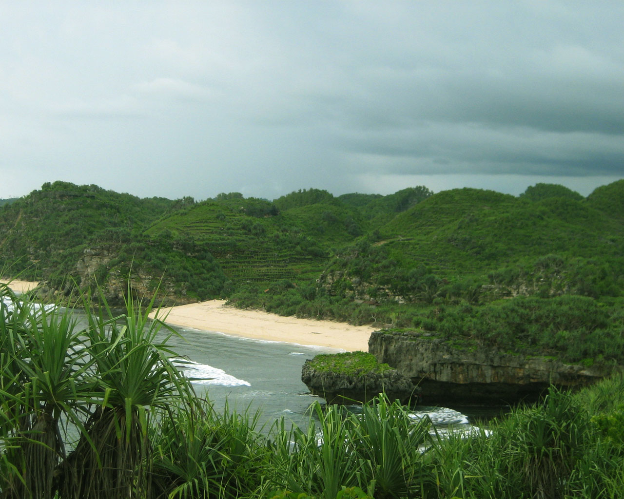 World Wallpaper: Green Beach