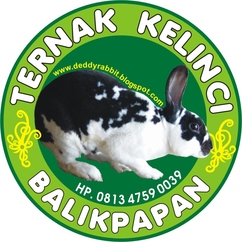 Ternak Kelinci Balikpapan New Ternak Kelinci Balikpapan