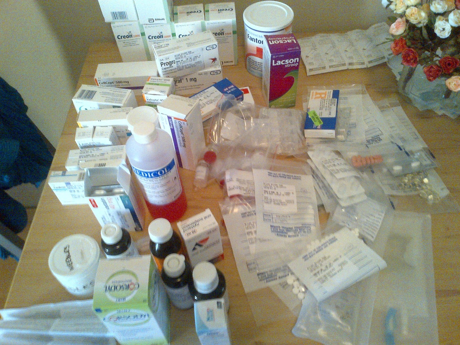 Deer Diary Punctured Lungs