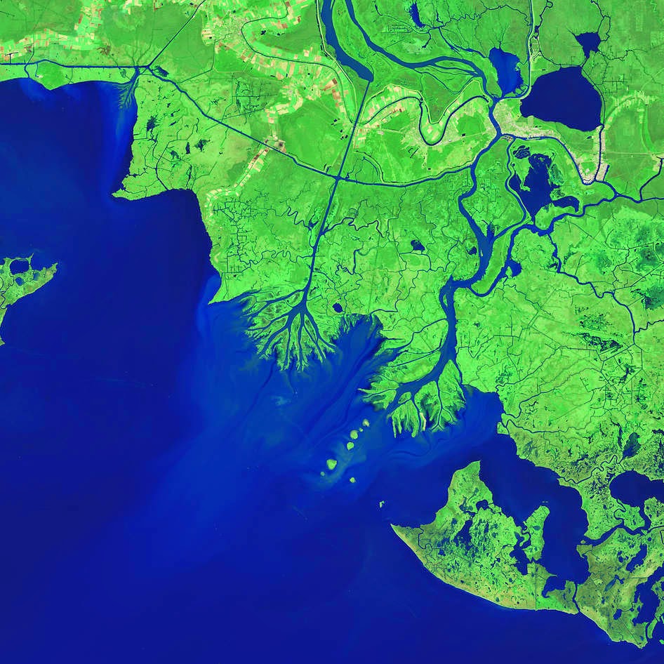 나뭇잎처럼 자라는 삼각주