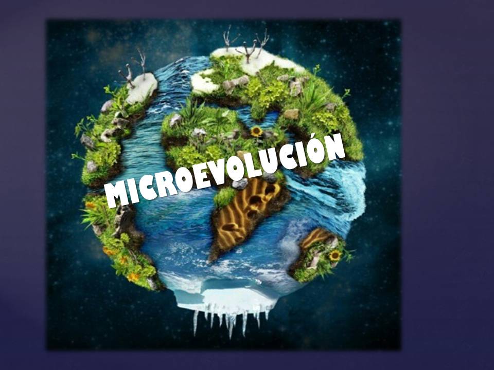 Microevolución