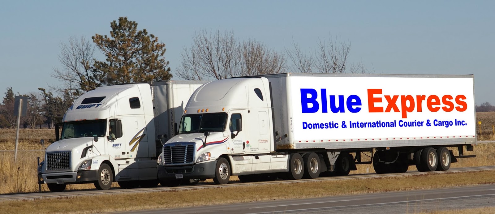Blue Express Courier & Cargo Ltd
