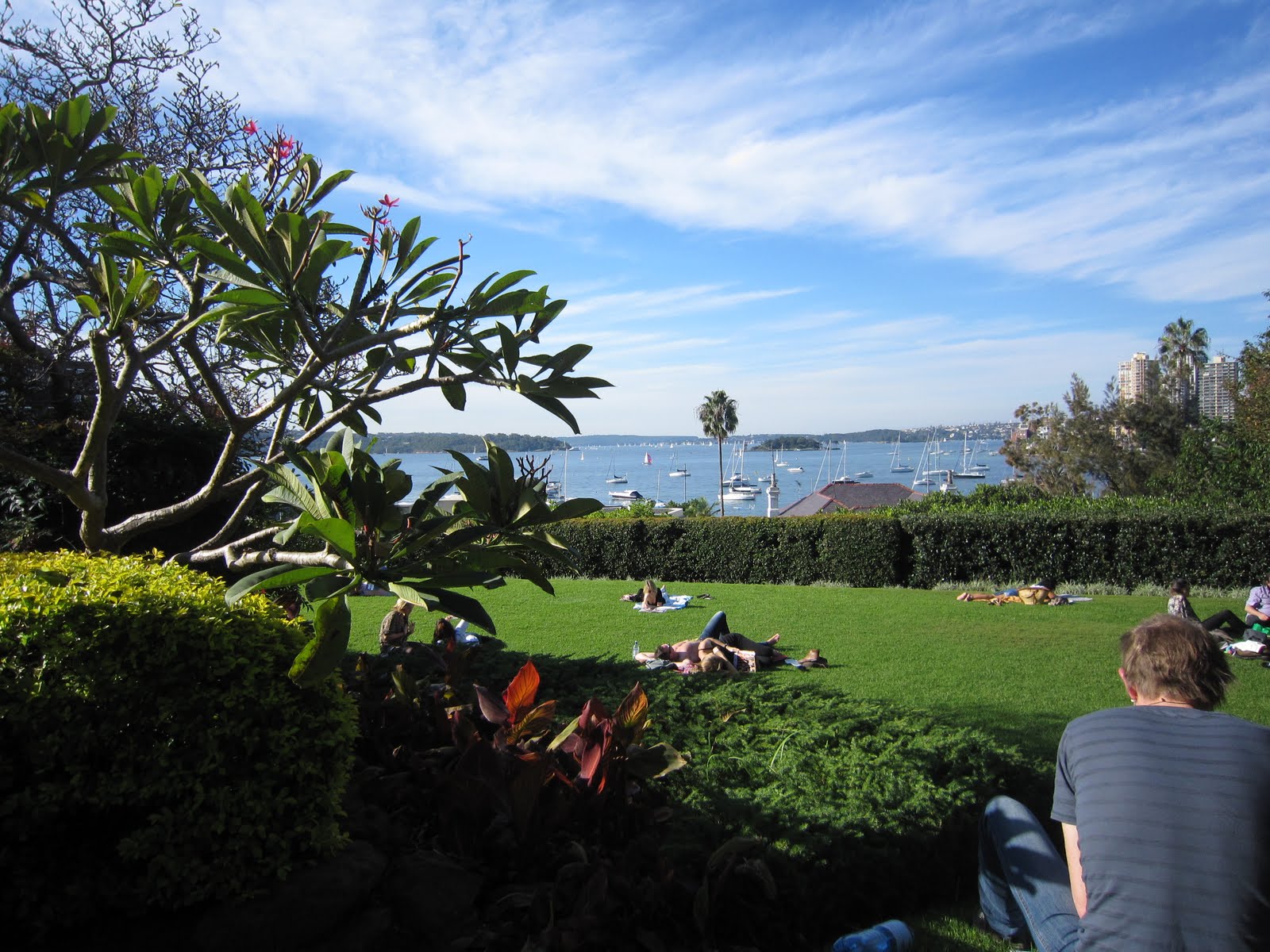 [Image: domenica+in+sydney+010.JPG]