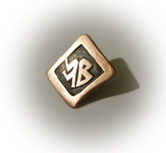 \Bronze Badge