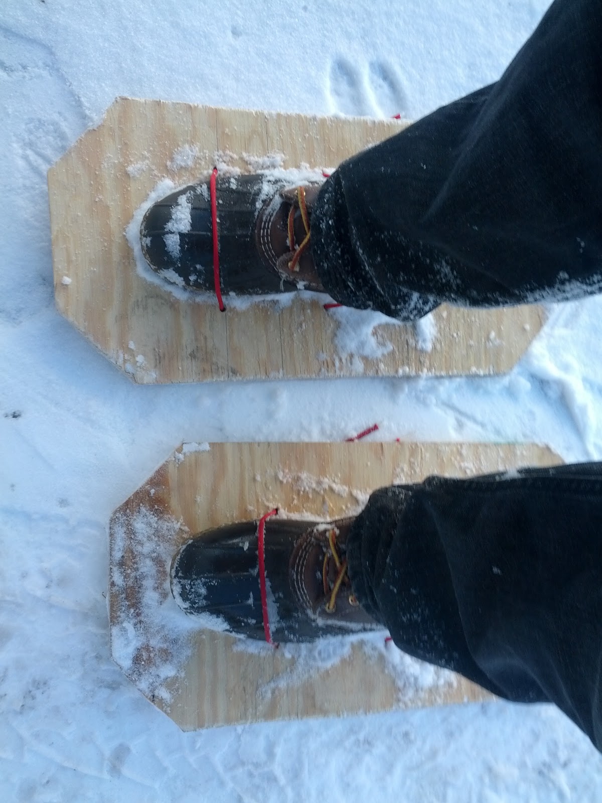DIY Snowshoes