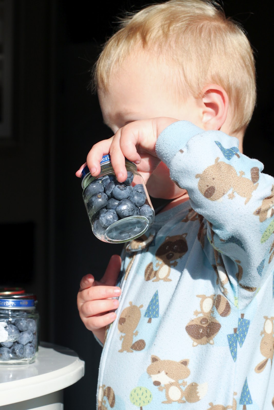 a little jordan family blog Freezing Berries in Baby Food Jars