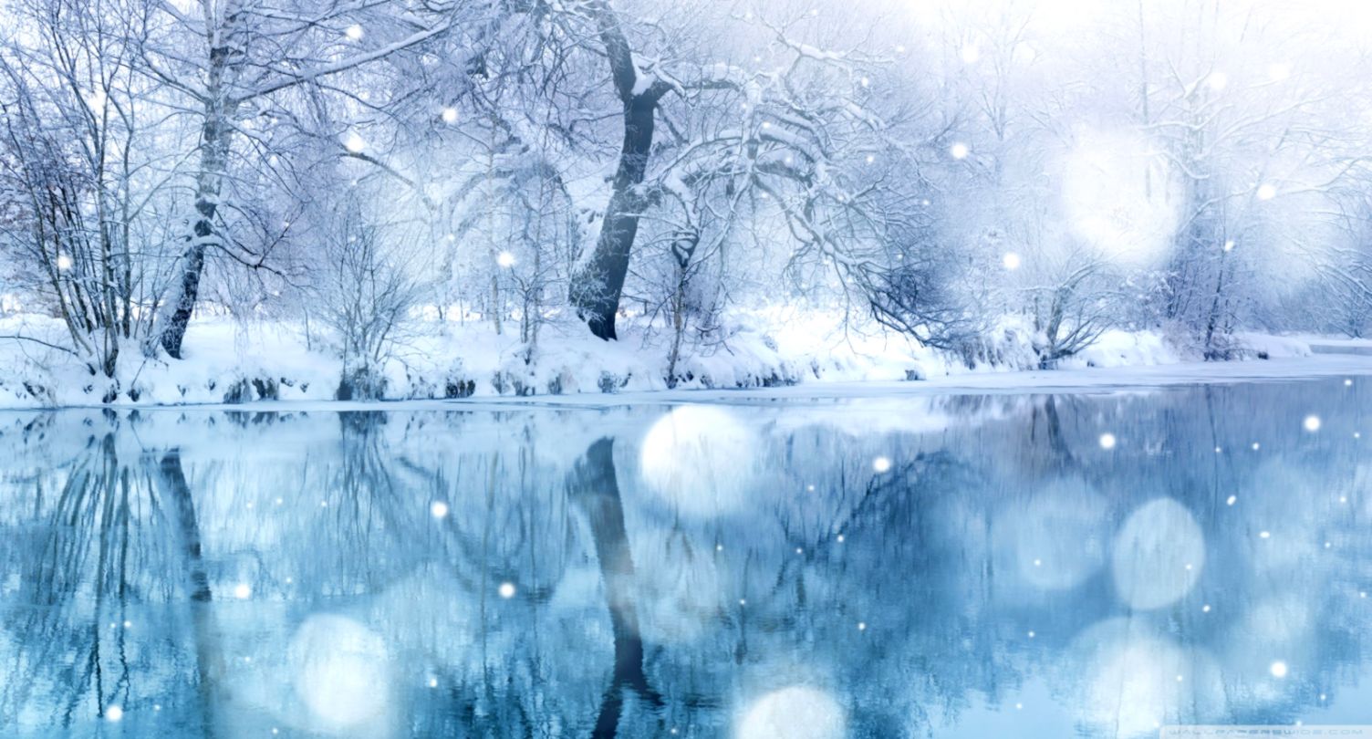 Hd Winter Wallpapers Image Wallpapers Hd