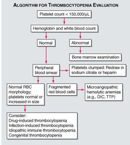 Danazol Drug Bank